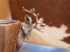 Bild 7 - Innen