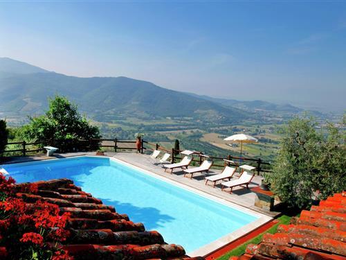 Villa - 8 personer -  - 52043 - Castiglion Fiorentino