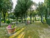 Image 29 - Outside