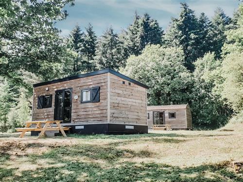 Chalet - 2 persons -  - 5670 - Olloy-Sur-Viroin