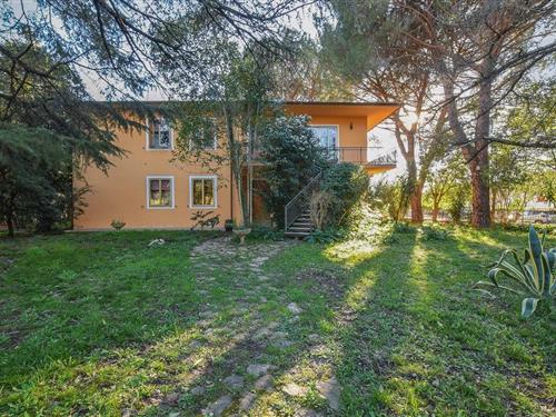 Holiday apartment - 6 persons -  - Via Calzezane - 56011 - Calci