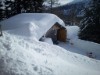 Bild 51