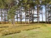 Bild 16 - Ude
