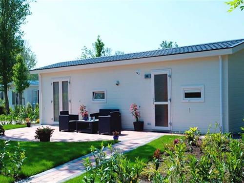 Chalet - 4 personer -  - 1981LK - Velsen-Zuid