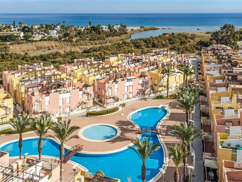 Holiday apartment - 4 persons -  - Avenida Juan Sebastián Elcano - 04621 - Vera