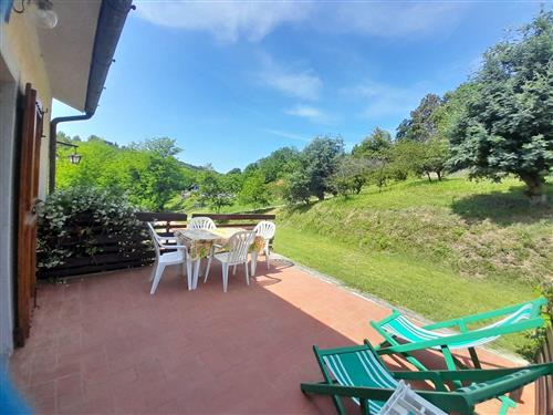 Ferielejlighed - 4 personer -  - Fauglia - 56043