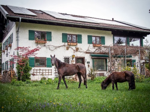Semesterlägenhet - 1 person -  - Waldweg - 83075 - Bad Feilnbach