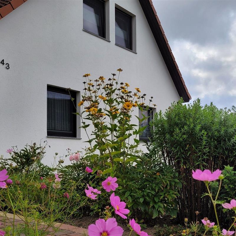 Ferielejlighed - 4 personer -  - Eschenweg - 18442 - Wendorf / Neu Lüdershagen