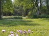 Billede 20 - Grund