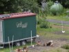 Bilde 20 - Ude