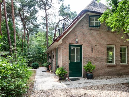Feriehus - 6 personer -  - 7736PR - Beerze
