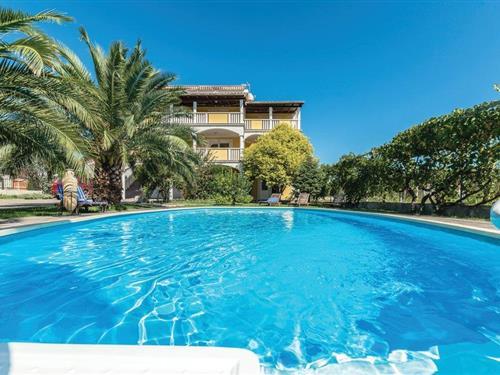 Holiday home - 21 persons -  - Vukovarska - Biograd-Turanj - 23207 - Turanj