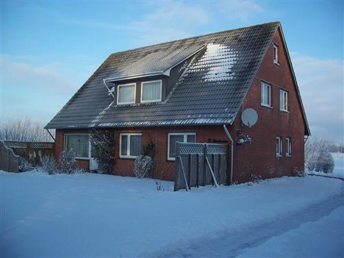 Semesterlägenhet - 5 personer -  - Wikingwai - 25938 - Nieblum