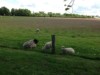 Image 23