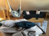 Bild 19
