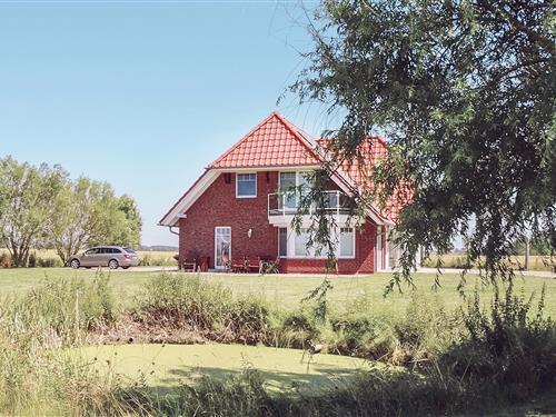 Ferienhaus - 6 Personen -  - Große Bauernreihe - 18317 - Saal