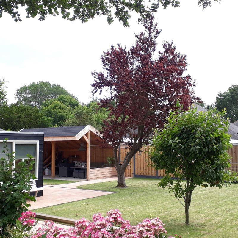 Sommerhus - 6 personer -  - Stavenisse - 4696 RT