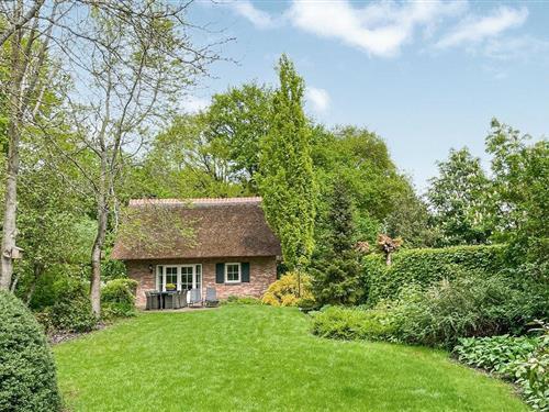 Holiday home - 6 persons -  - Binnenweg - 8378 JJ - Paasloo