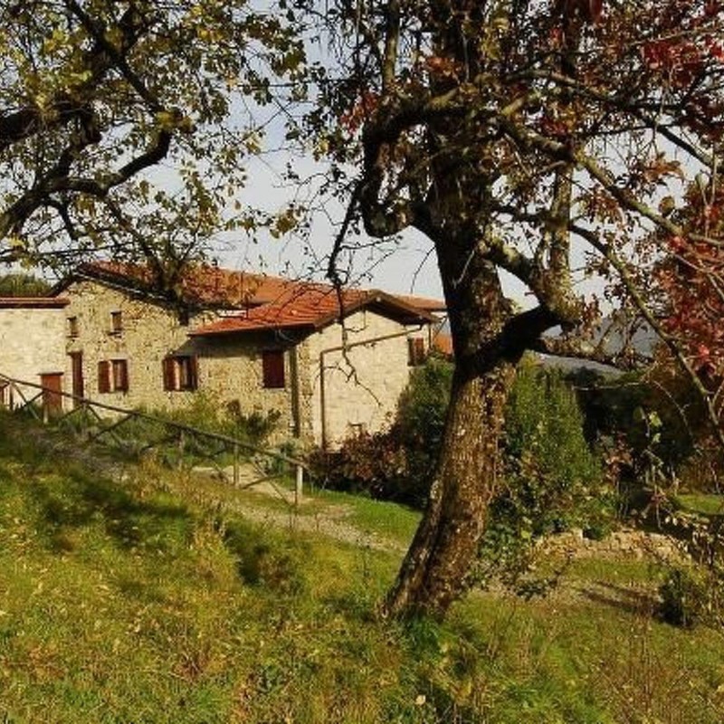 Ferielejlighed - 2 personer -  - 19010 - Tavarone