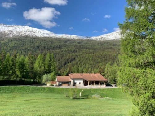 Holiday apartment - 4 persons -  - Tschierv - 7532