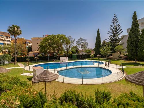 Holiday apartment - 4 persons -  - Ciudad de Melilla 1-7 - Benalmádena - 29631 - Benalmadena