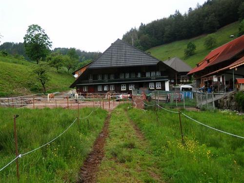 Holiday Home/Apartment - 4 persons -  - Niederböllen - 79677 - Böllen