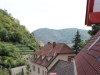 Bilde 4