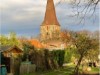 Image 20