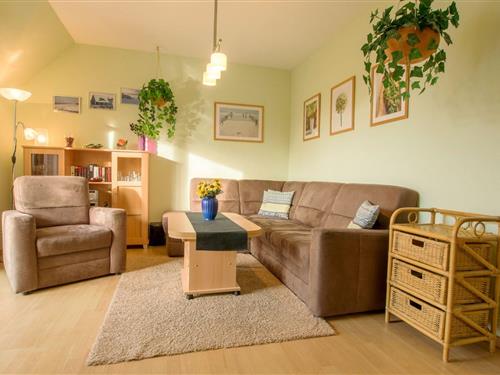 Ferieleilighet - 4 personer -  - Prerower Straße - 18374 - Zingst (Ostseeheilbad)