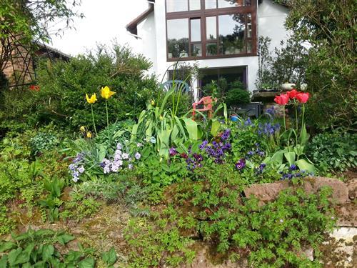 Ferieleilighet - 1 person -  - Am Theresienbrunnen - 97688 - Bad Kissingen