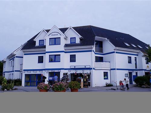 Holiday Home/Apartment - 2 persons -  - Klosterstrasse - 18374 - Seeheilbad Zingst