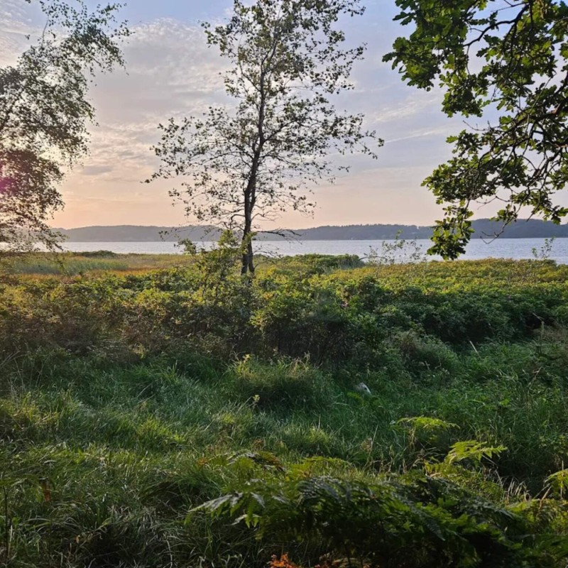 Ferienhaus - 6 Personen -  - Oddevejen - 5500 - Middelfart