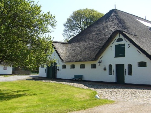 Holiday home - 1 person -  - 25826 - St. Peter-Oridng