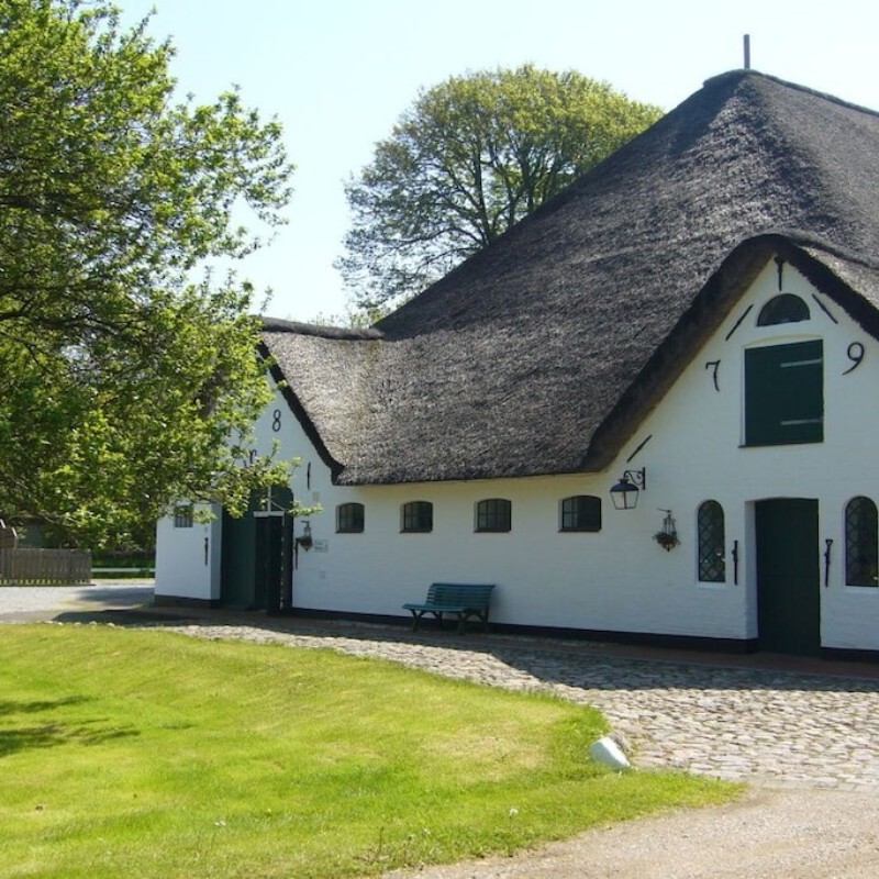 Sommerhus - 1 person -  - 25826 - St. Peter-Oridng