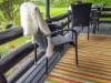 Bild 21 - Inde