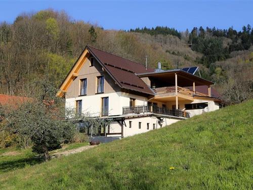 Sommerhus - 4 personer -  - 77794 - Lautenbach