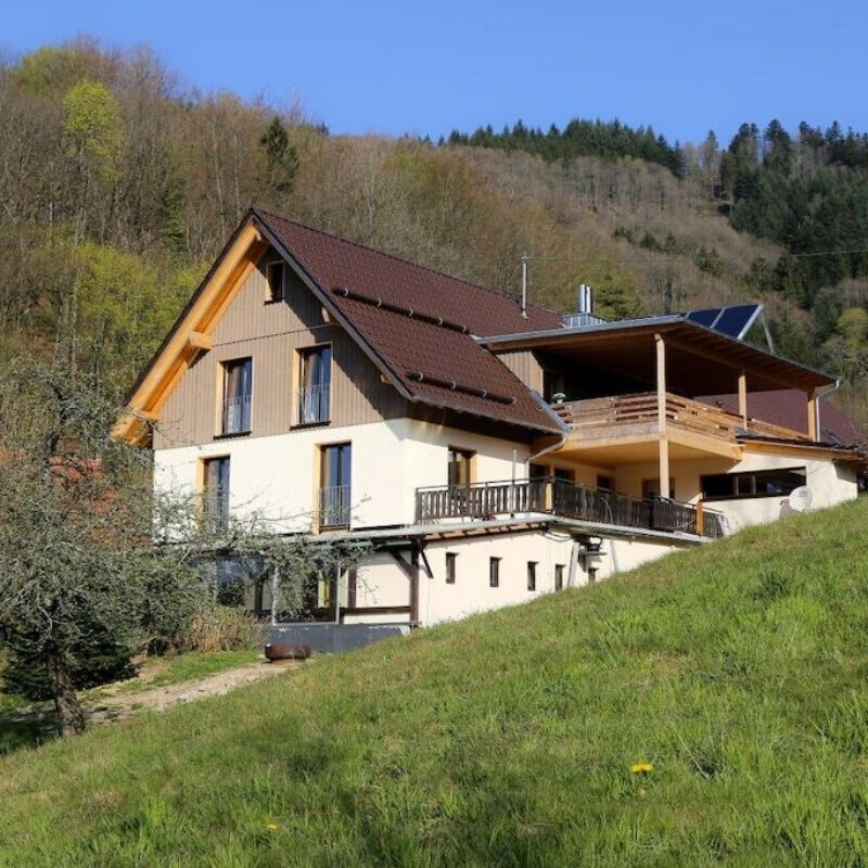 Sommerhus - 4 personer -  - 77794 - Lautenbach