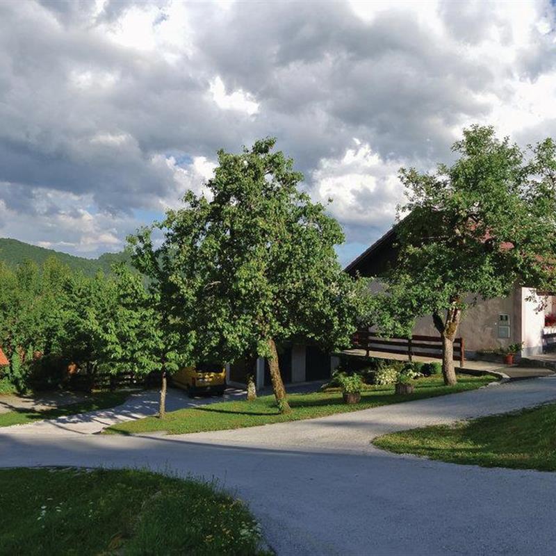 Sommerhus - 16 personer -  - Vrh pri Fari - Kocevje-Kostel - 1336 - Kostel