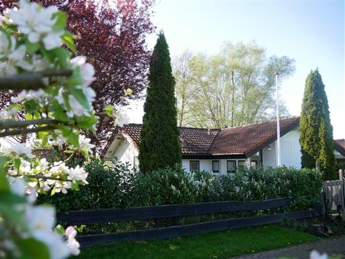 Feriesenter - 7 personer -  - Feriendorf Altes Land - 21723 - Hollern-Twielenfleth