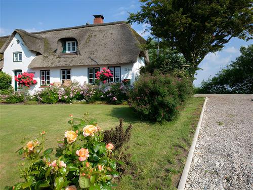 Ferieleilighet - 2 personer -  - Südermitteldeich - 25849 - Pellworm