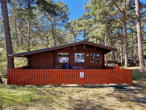 Feriehus / leilighet - 4 personer -  - Am Kleinbahnof - 18586 - Göhren (Ostseebad)