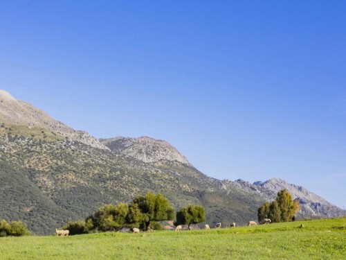 Sommerhus - 4 personer -  - Ctra.Estación,MA- - 29392 - Jimera De Libar