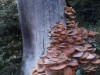 Bild 16