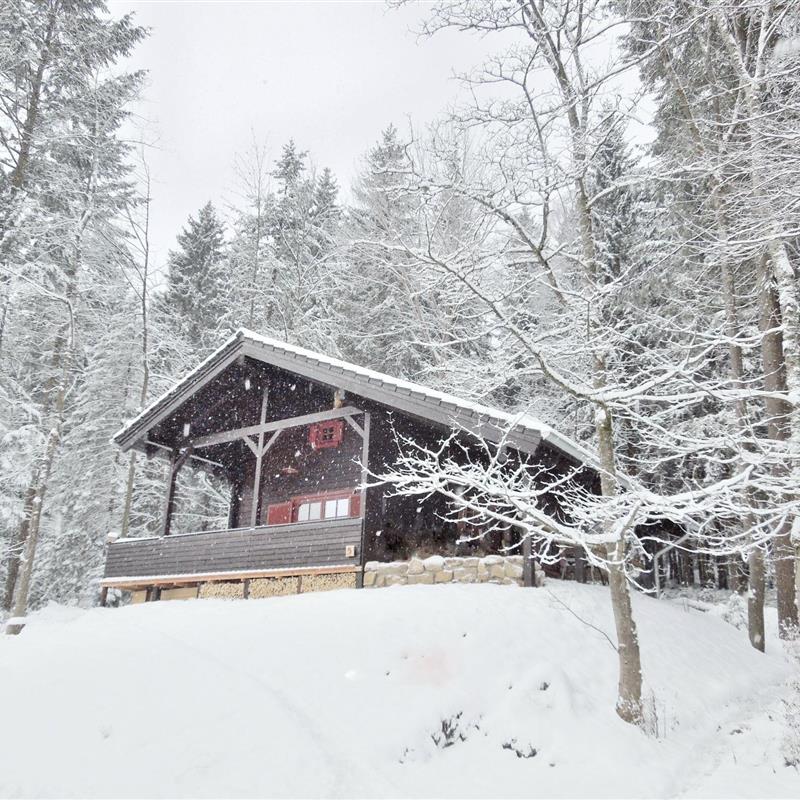 Sommerhus - 3 personer -  - Braunlage - 38700