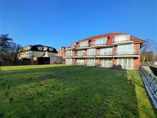 Ferienwohnung - 5 Personen -  - Steinmarner Straße - 27476 - Cuxhaven