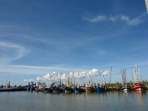 Holiday home - 7 persons -  - Kutterstraße - 26506 - Norden - Norddeich