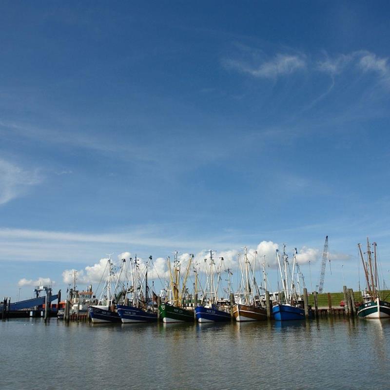 Sommerhus - 7 personer -  - Kutterstraße - 26506 - Norden - Norddeich