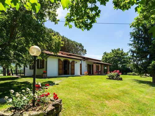 Bondhus - 6 personer -  - 52043 - Castiglion Fiorentino