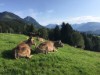 Bild 17