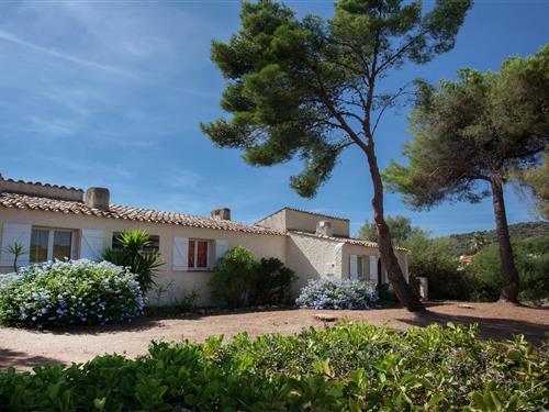 Holiday home - 4 persons -  - 20130 - Cargese